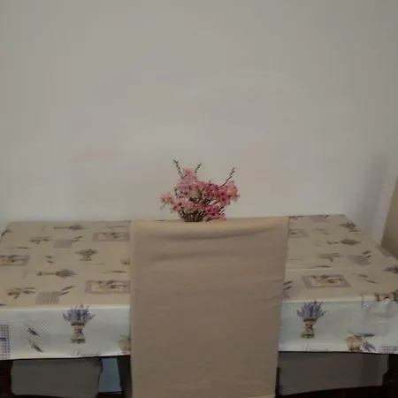 Apartment Ana