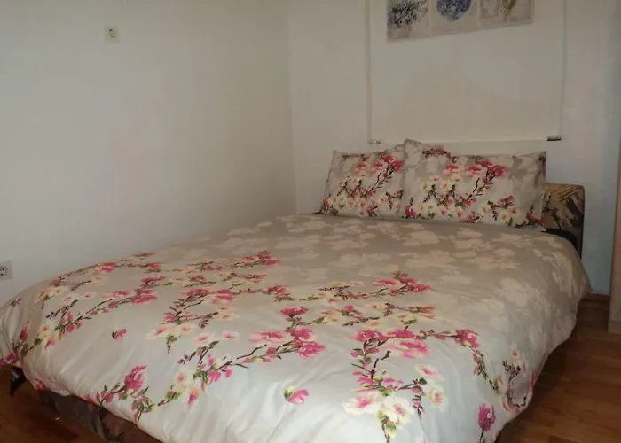 Διαμέρισμα Ana *